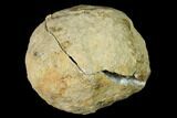 Keokuk Quartz Geode with Calcite Crystals - Iowa #144694-1